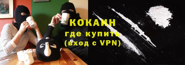 молекула духа Арсеньев