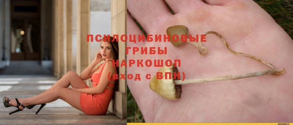 гашик Балахна