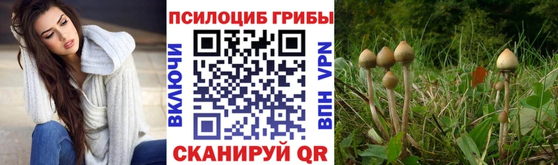 купить  сайты  Бокситогорск  Галлюциногенные грибы GOLDEN TEACHER 